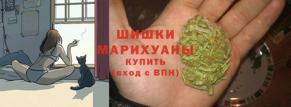 стаф Арсеньев