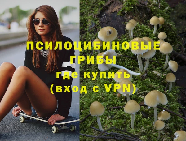 стаф Арсеньев