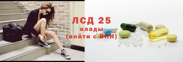 стаф Арсеньев