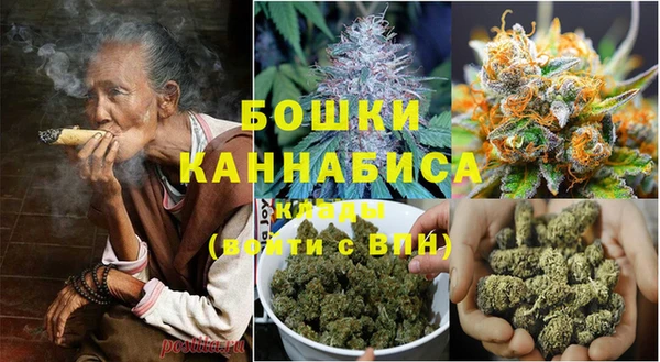 стаф Арсеньев